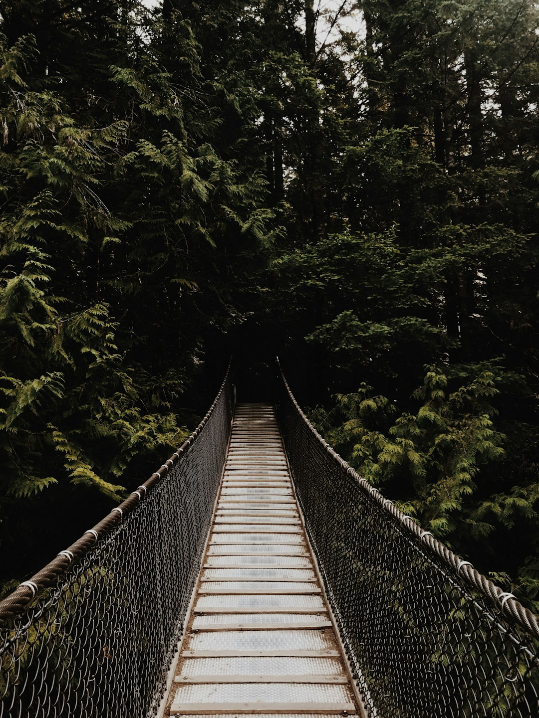 Suspension bridge photo spot Lynn Canyon Park Canada