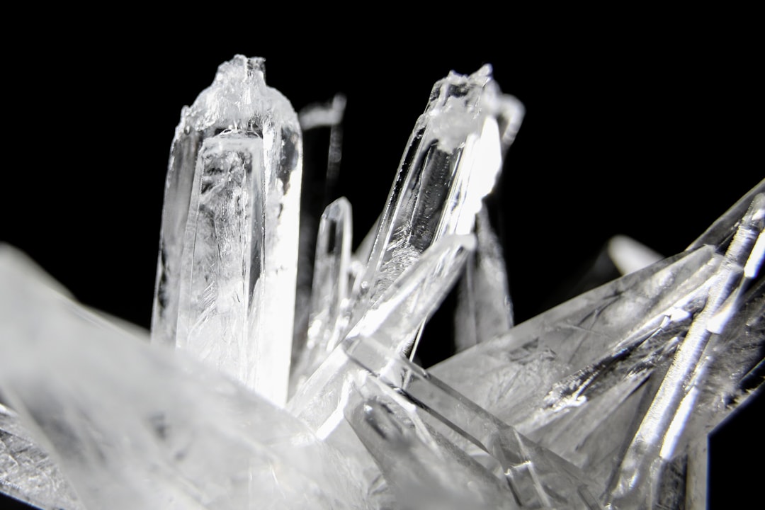 mint, menthol crystals, macrophotography of snow