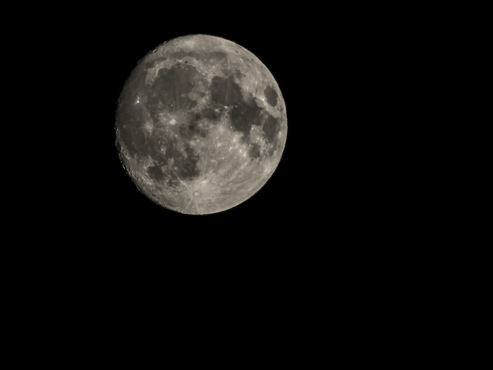 gray moon photo
