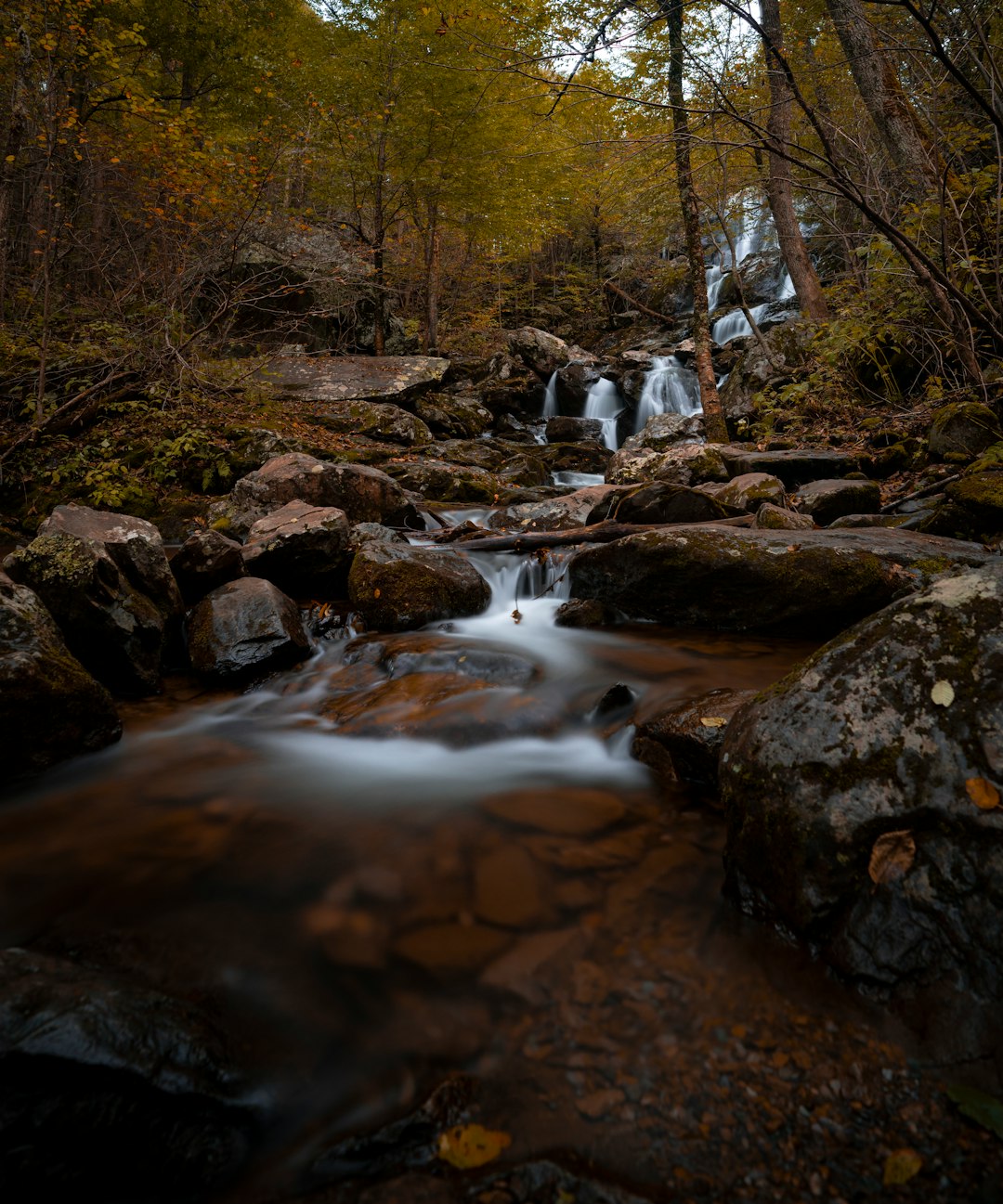 travelers stories about Stream in Luray, United States