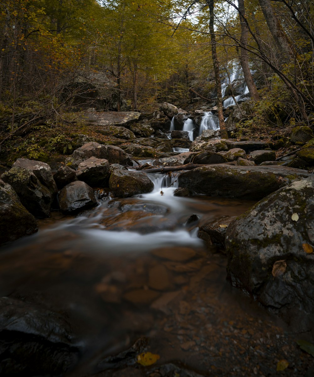 time lapse photo of flowing river at daytime