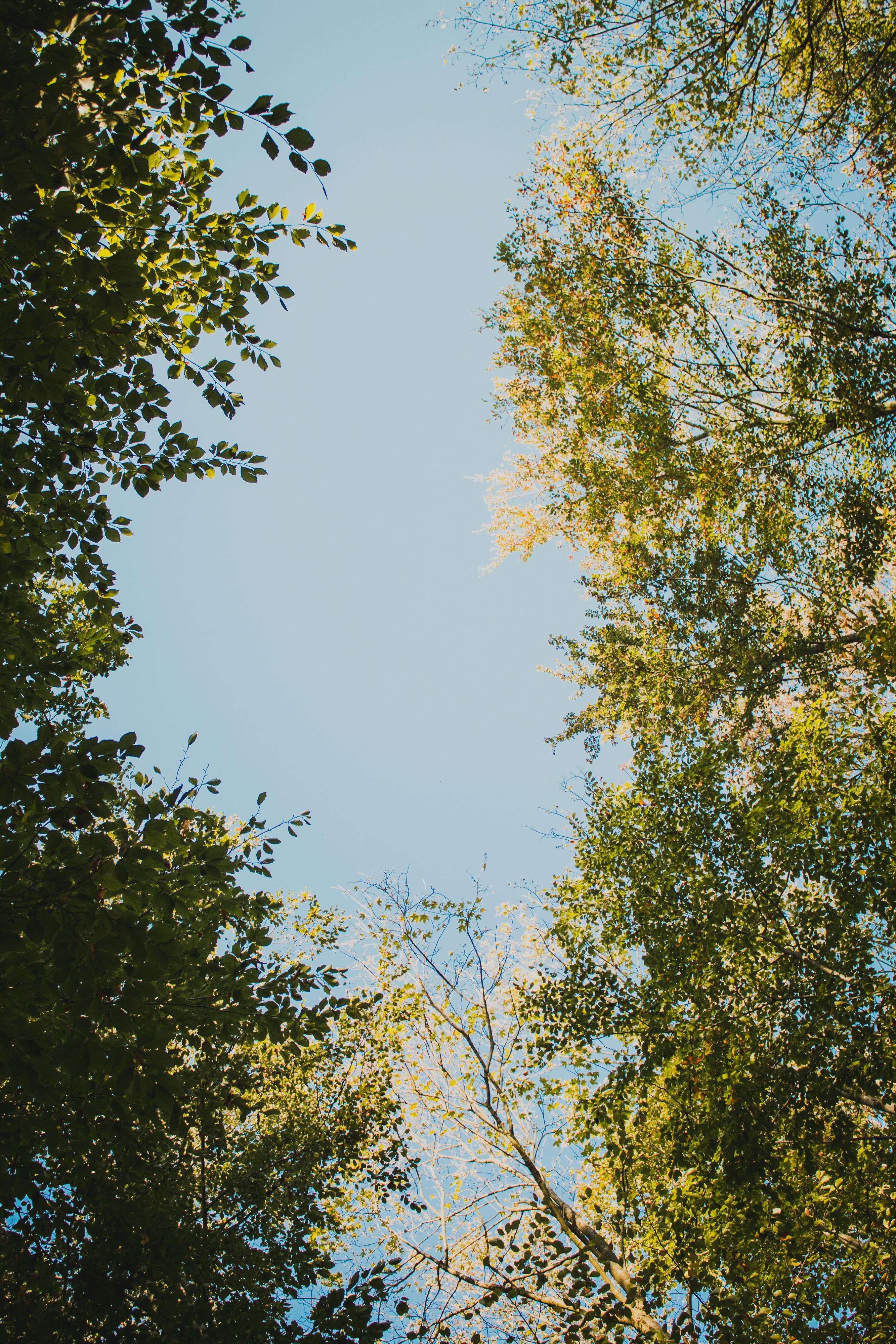 Photo by karina___lli