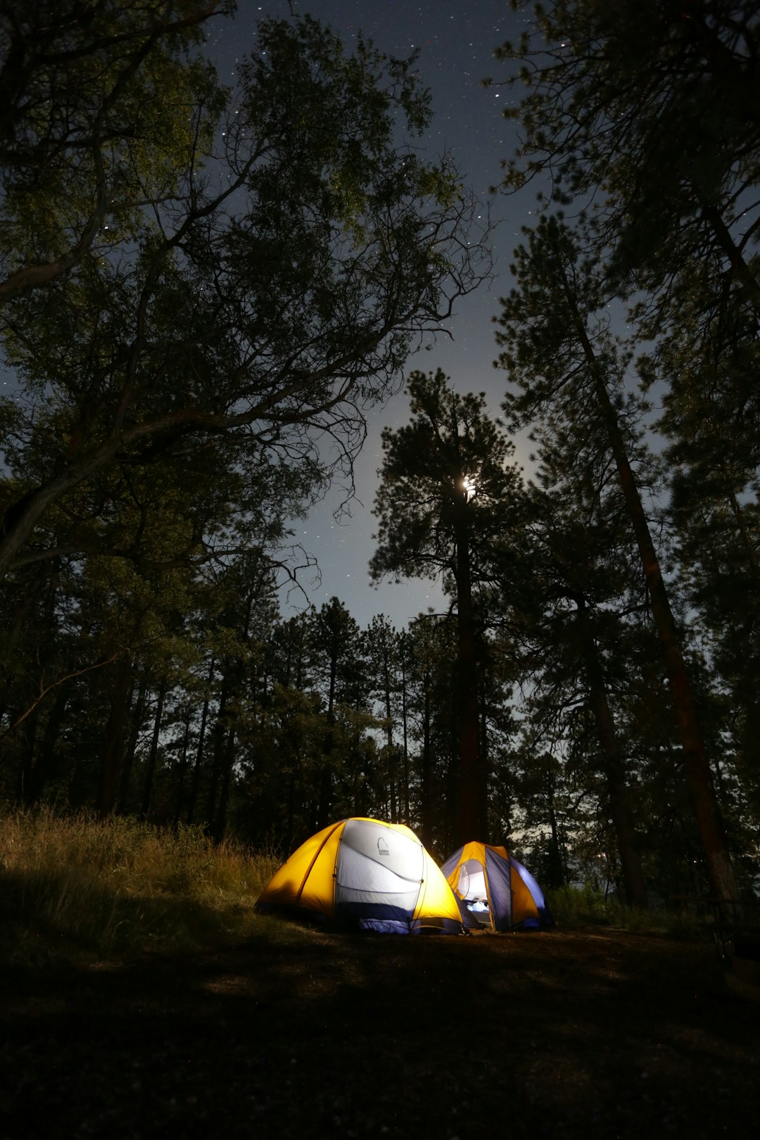 photo of North Rim Campground Camping near Grand Canyon National Park