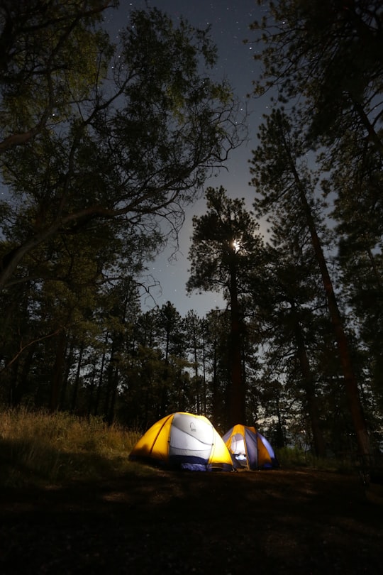 two assorted-color dome tents surrounded by trees in North Rim Campground United States