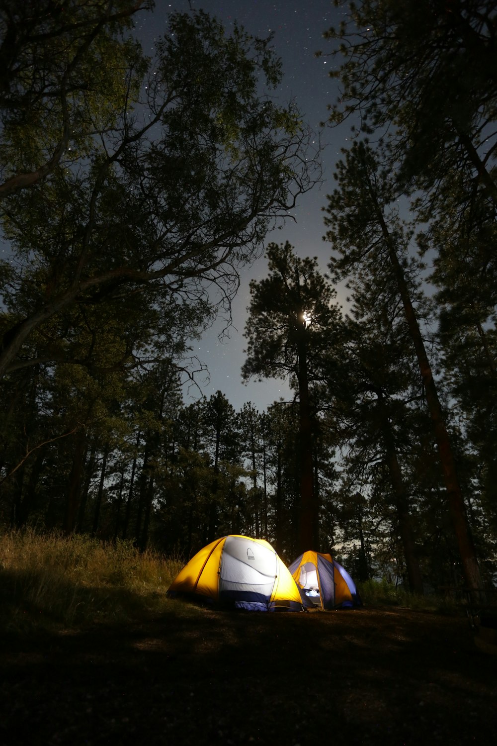 two assorted-color dome tents surrounded by trees