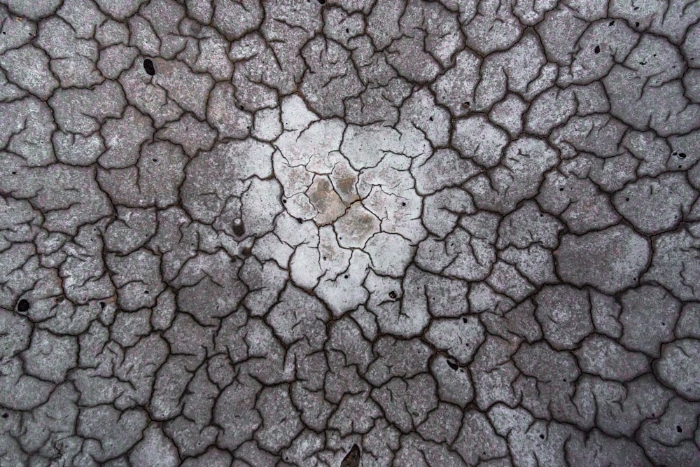 cracked soil