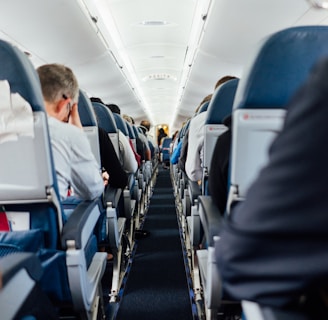 people sitting inside plane