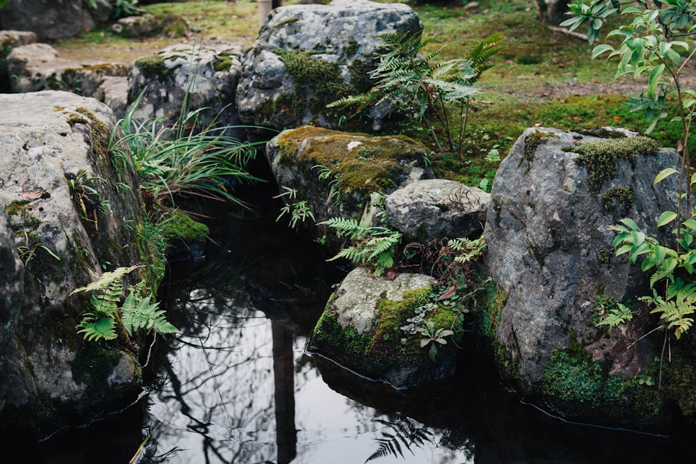 body of water near rocks