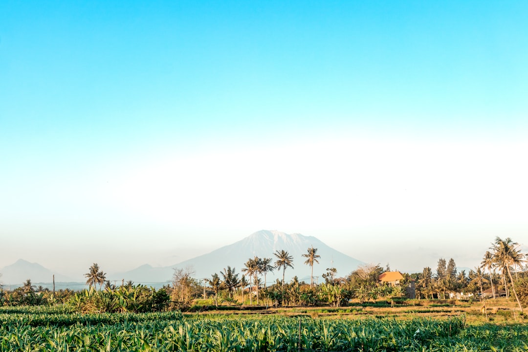 Plain photo spot Bali Kabupaten Badung