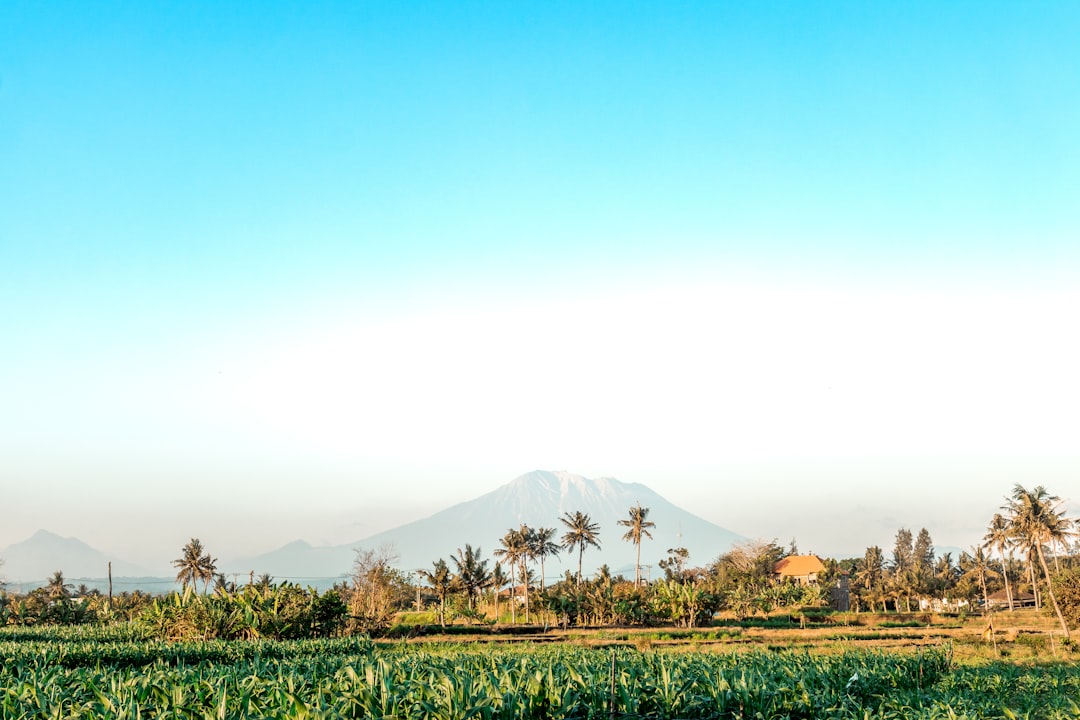 Plain photo spot Bali Banyuwangi Regency