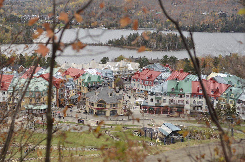 top view of houses near body of water