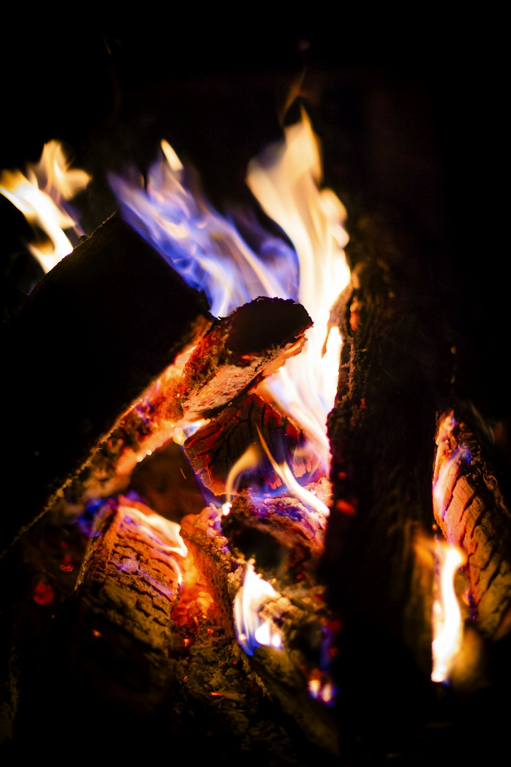 close-up photography of firewood
