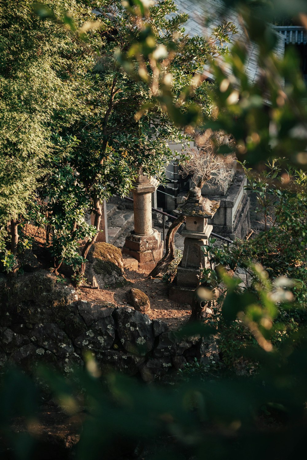 Vialetto e pali vicino alle piante