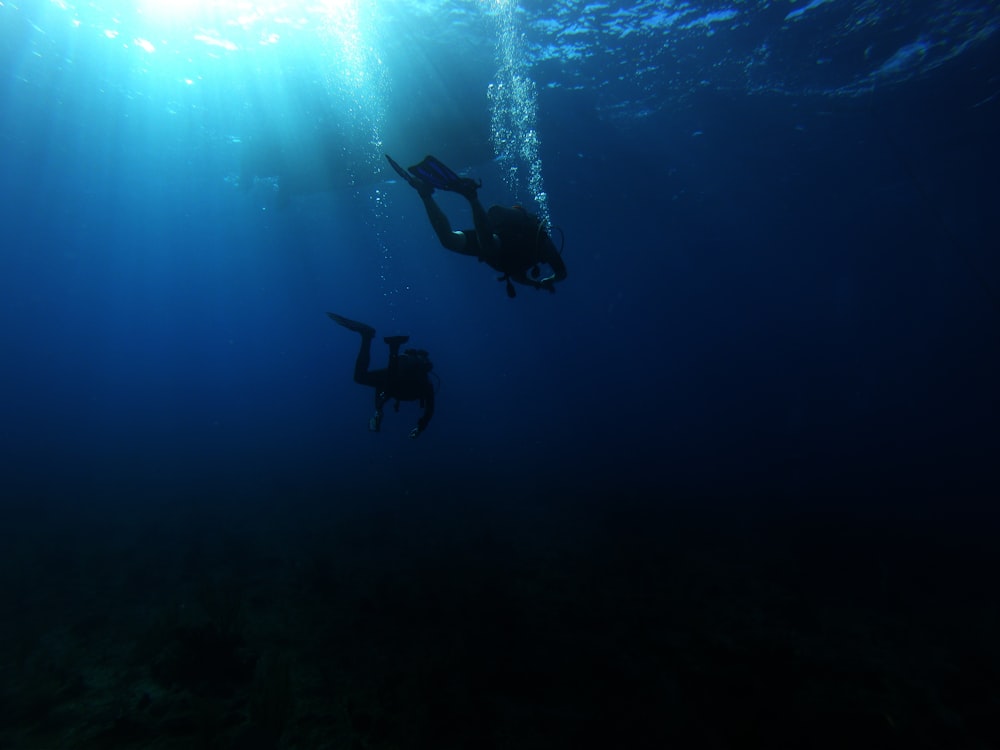 two persons scuba diving
