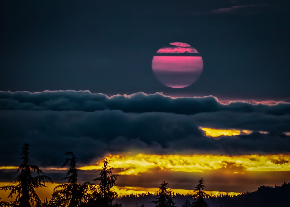 tall trees under pink and black moon