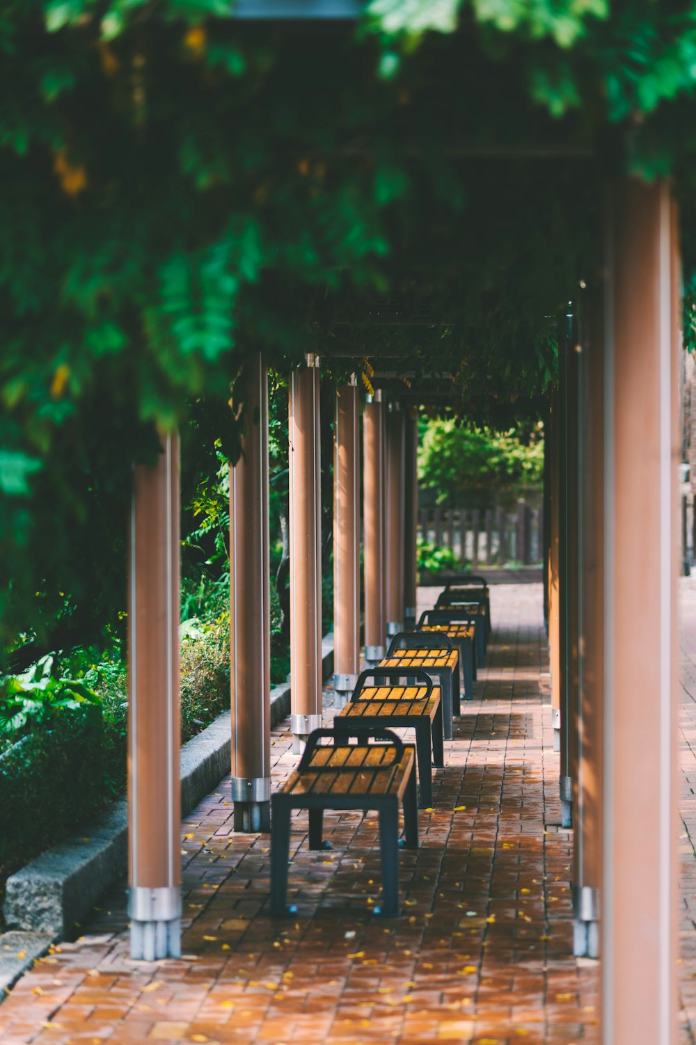 brown wooden bench near green trees