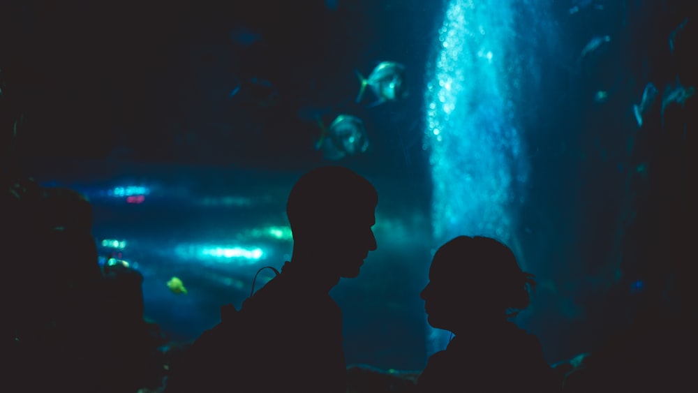 silhouette of two person beside aquarium