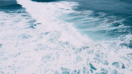 sea waves crashing at sea during daytime in Tunnel Beach Track New Zealand