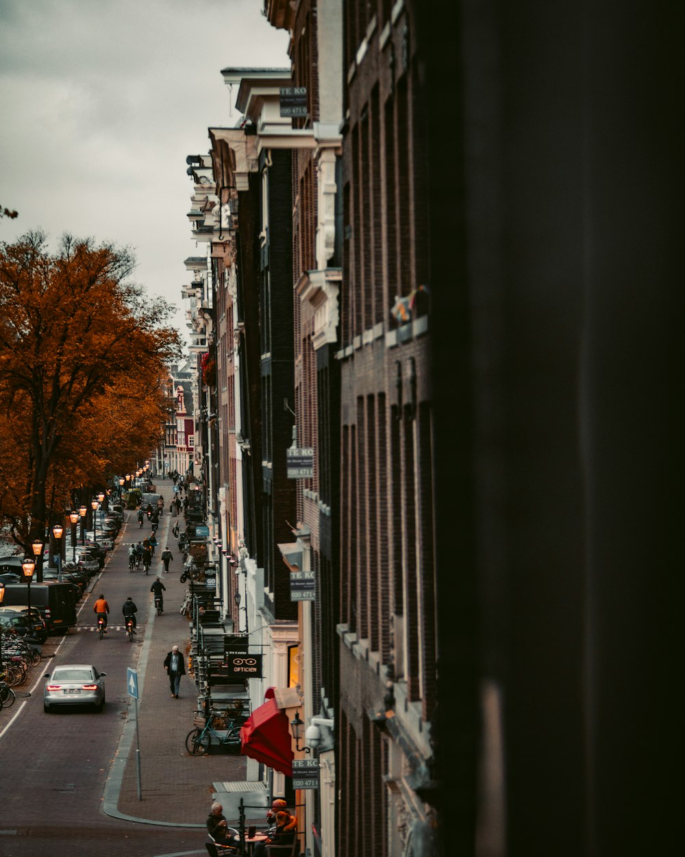 people walking outside the building near trees