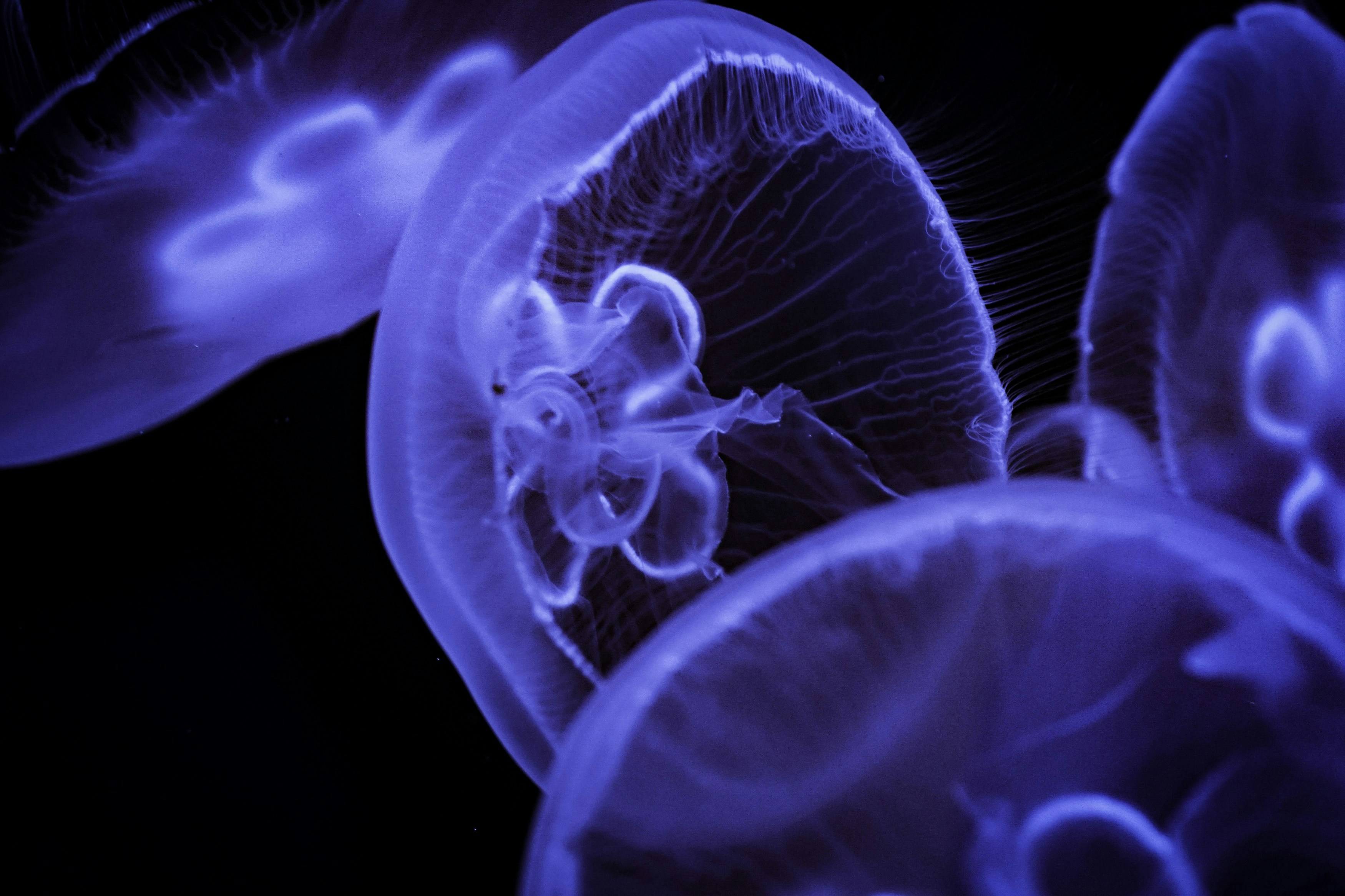 photo-1540365872734-72feb5ff38ef?ixlib=rb-1.2.1&ixid=eyJhcHBfaWQiOjEyMDd9&auto=format&fit=crop&w=1502&q=80