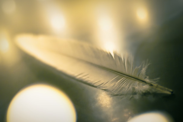 A delicate gold feather resting on a velvet purple surface, illuminated softly from above.