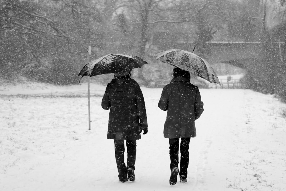 two persons holding umbrella while walking