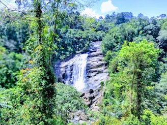 A beautiful waterfall surrounded by lush greenery in Hawaii.