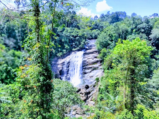 A cascading waterfall surrounded by lush tropical forest with vibrant green foliage and tall trees. The water flows over rocky terrain, creating a serene and natural landscape.