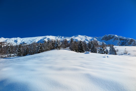 brown and white mountains under blue sky in Zambla Alta Italy
