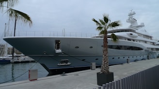 A large, luxurious yacht is docked at a marina, surrounded by a calm body of water. The sky appears overcast, and a palm tree is visible in the foreground along the pier.