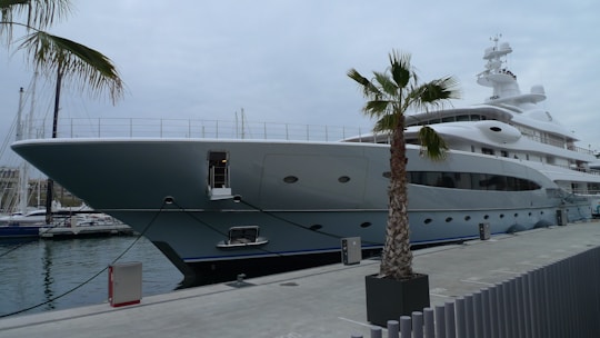 A large, luxurious yacht is docked at a marina, surrounded by a calm body of water. The sky appears overcast, and a palm tree is visible in the foreground along the pier.