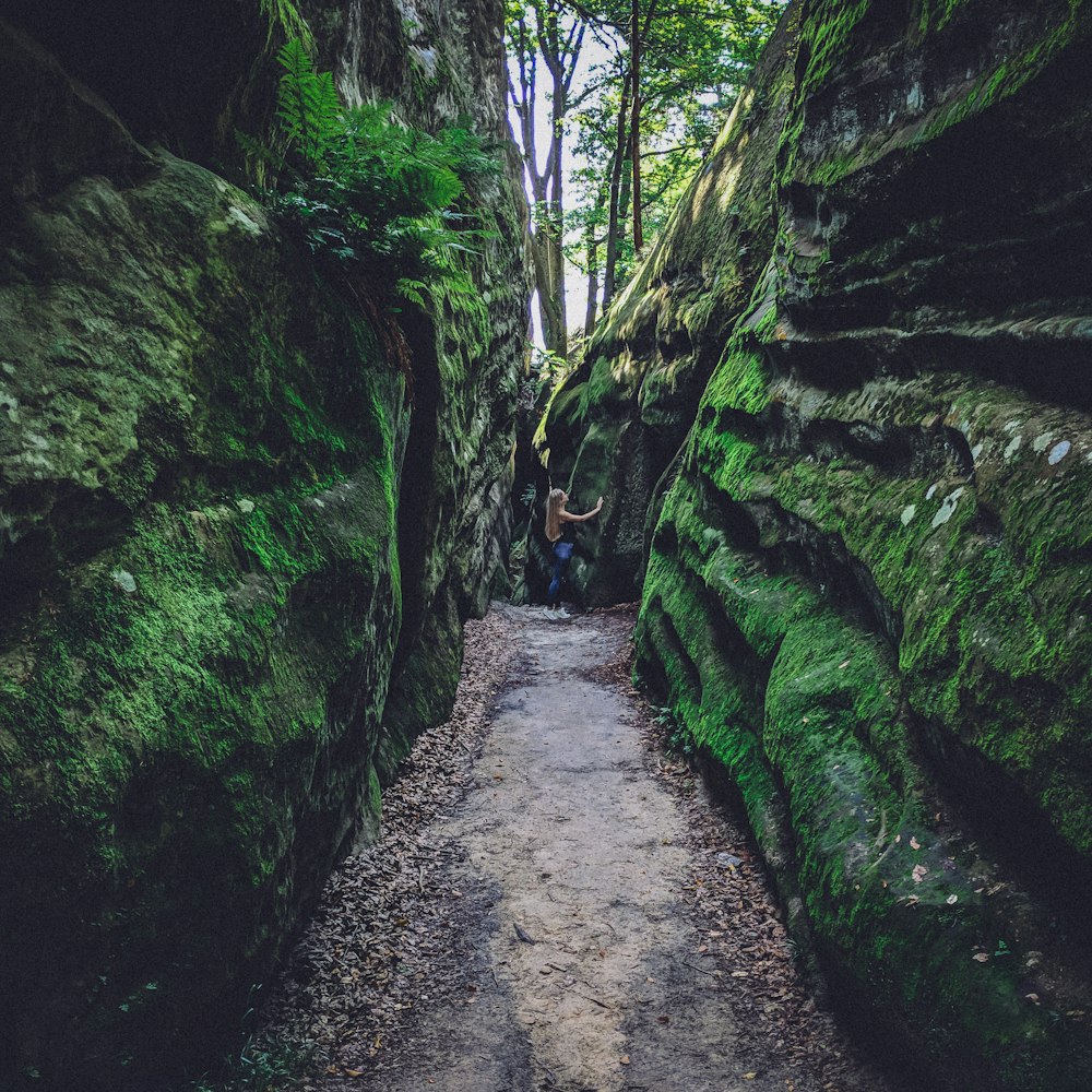 person standing near rock surrounded with tall trees