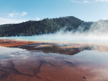 Hot springs create a surreal landscape with vibrant colors and steam rising against a backdrop of lush green forested hills under a clear blue sky.