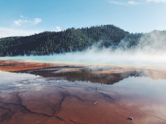 Hot springs create a surreal landscape with vibrant colors and steam rising against a backdrop of lush green forested hills under a clear blue sky.