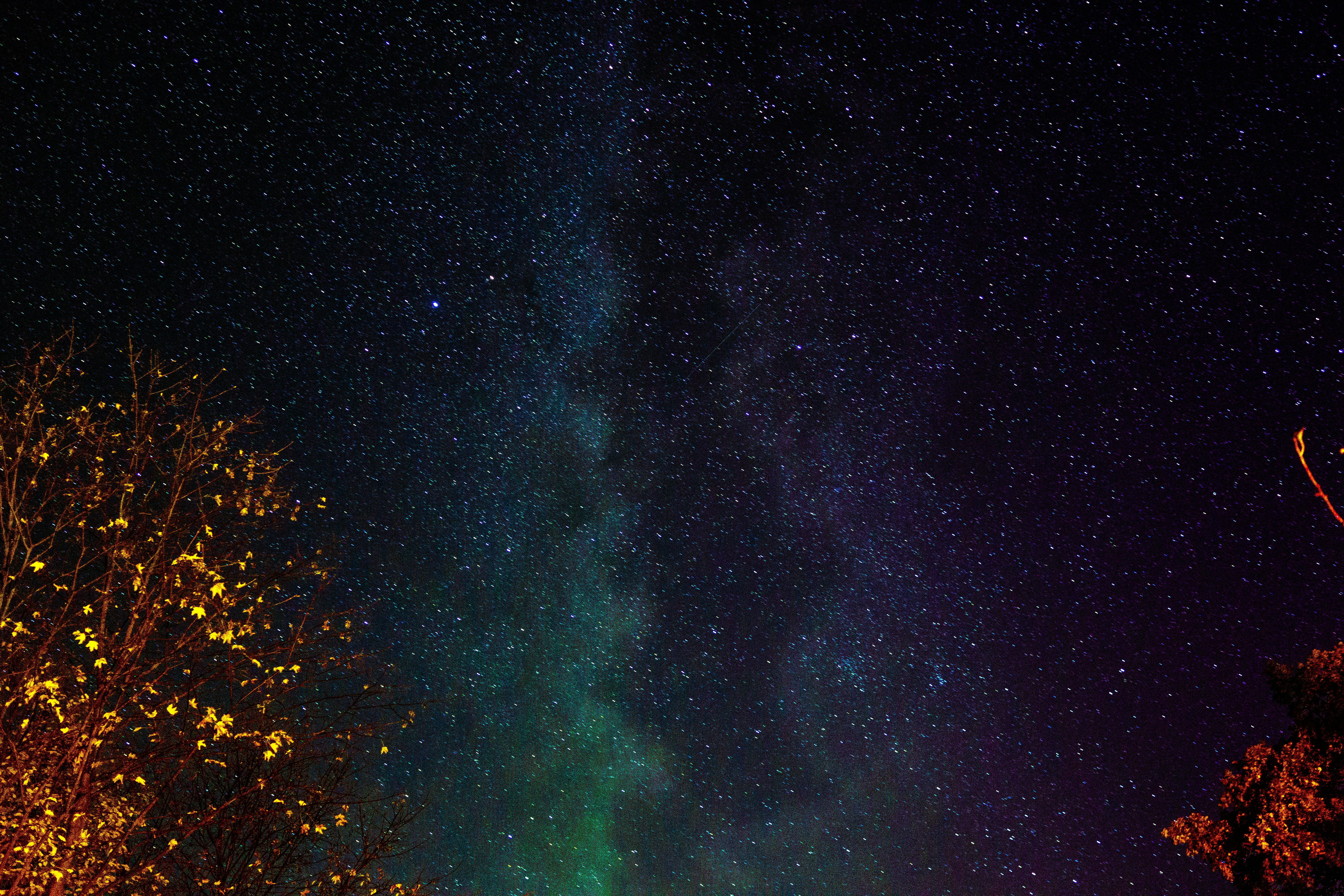 USD Gambit header image