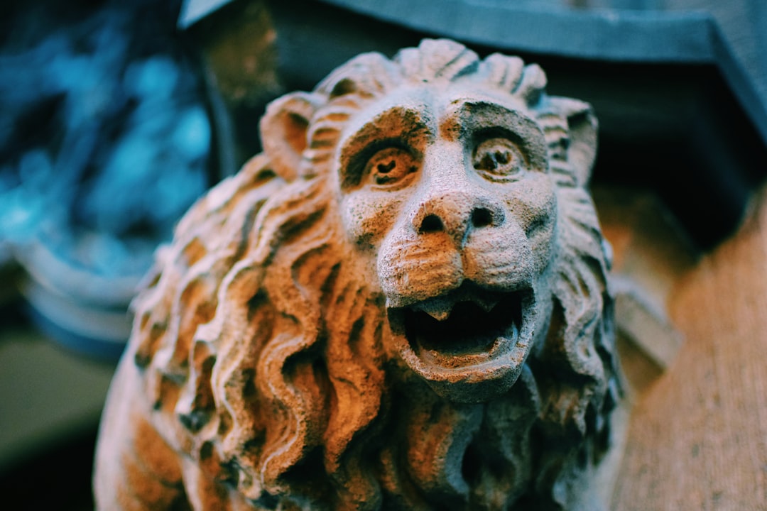 travelers stories about Wildlife in Rathaus-Glockenspiel, Germany