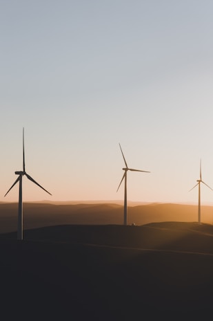 Wide-angle shot of modern wind turbines spinning gently against a clear blue sky at sunset.