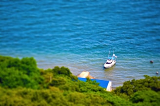 Small private boat anchored near a secluded beach with clear blue water and lush greenery.