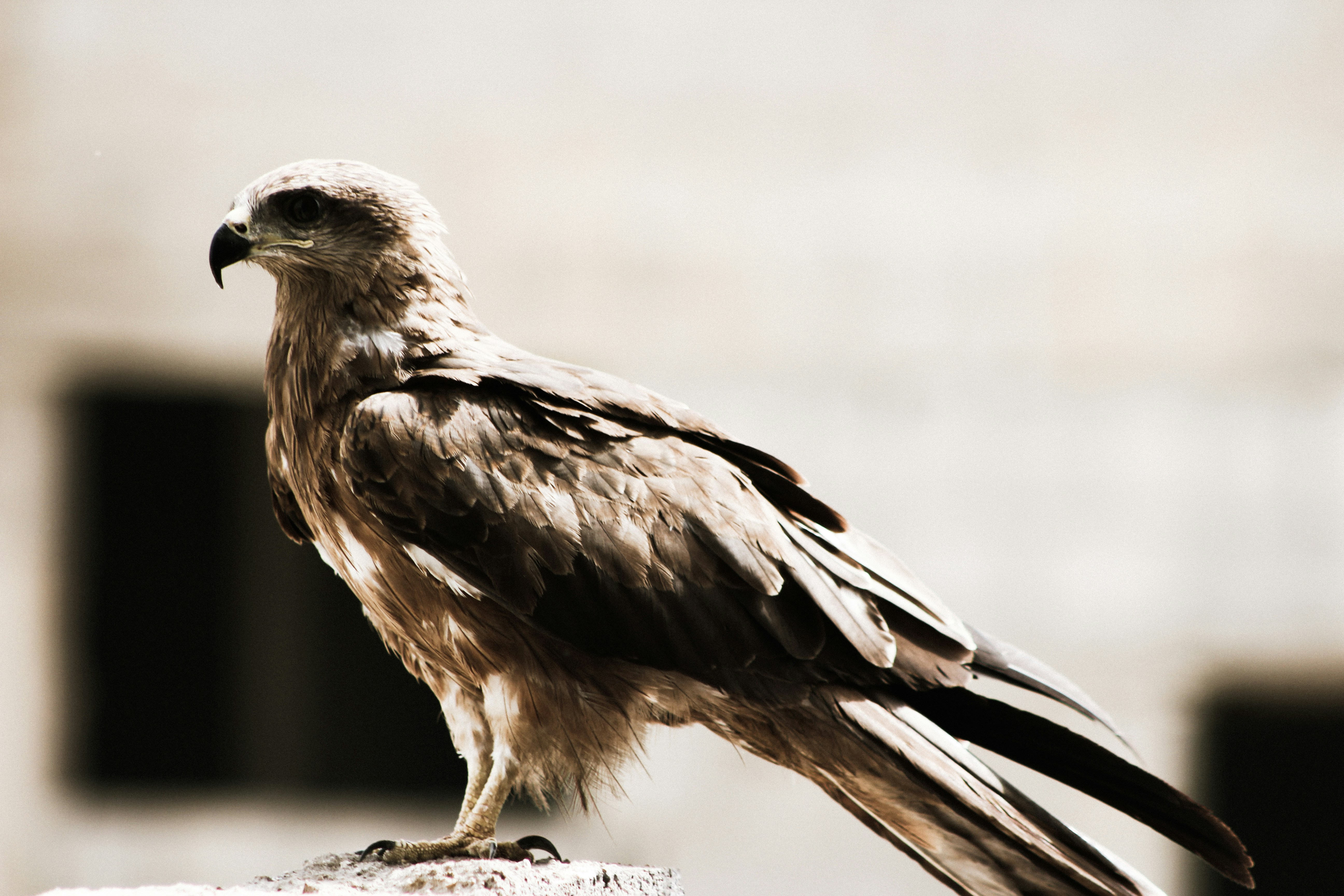 Photo by dawoodjaved