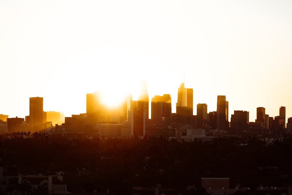 silhouette of buildings