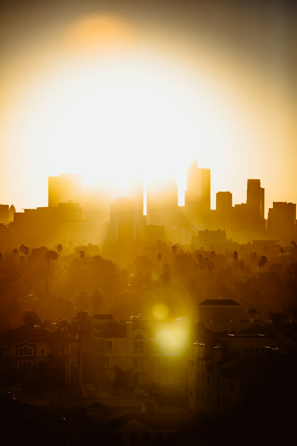 silhouette of building