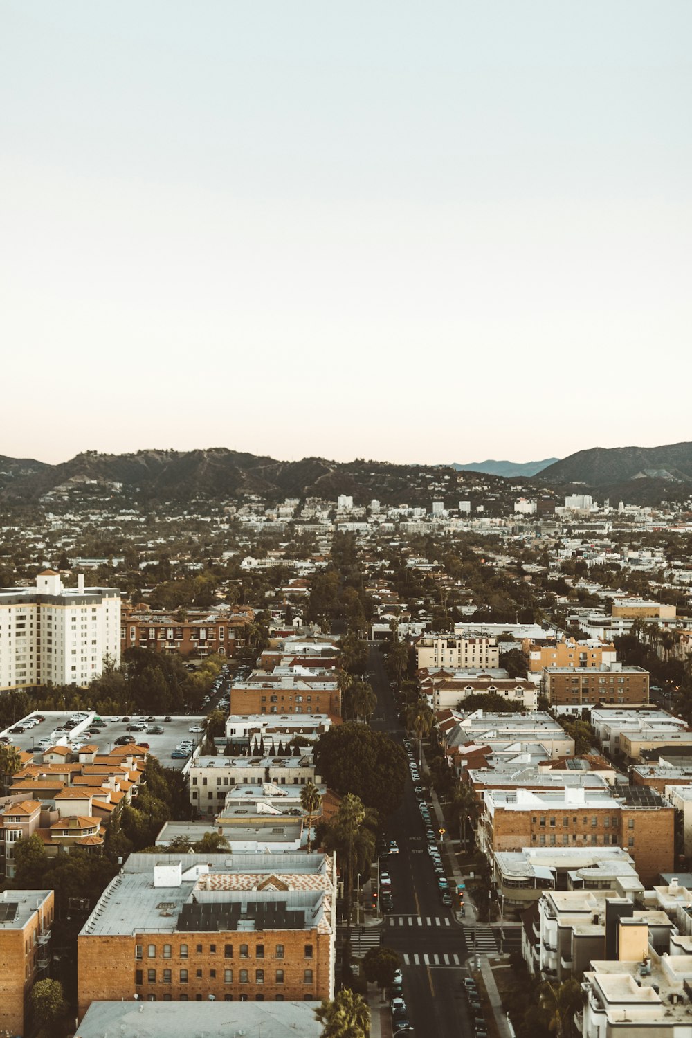 aerial photo of city buildings