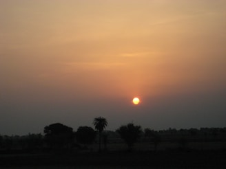 Sunset view over a flat terrain with scattered trees.