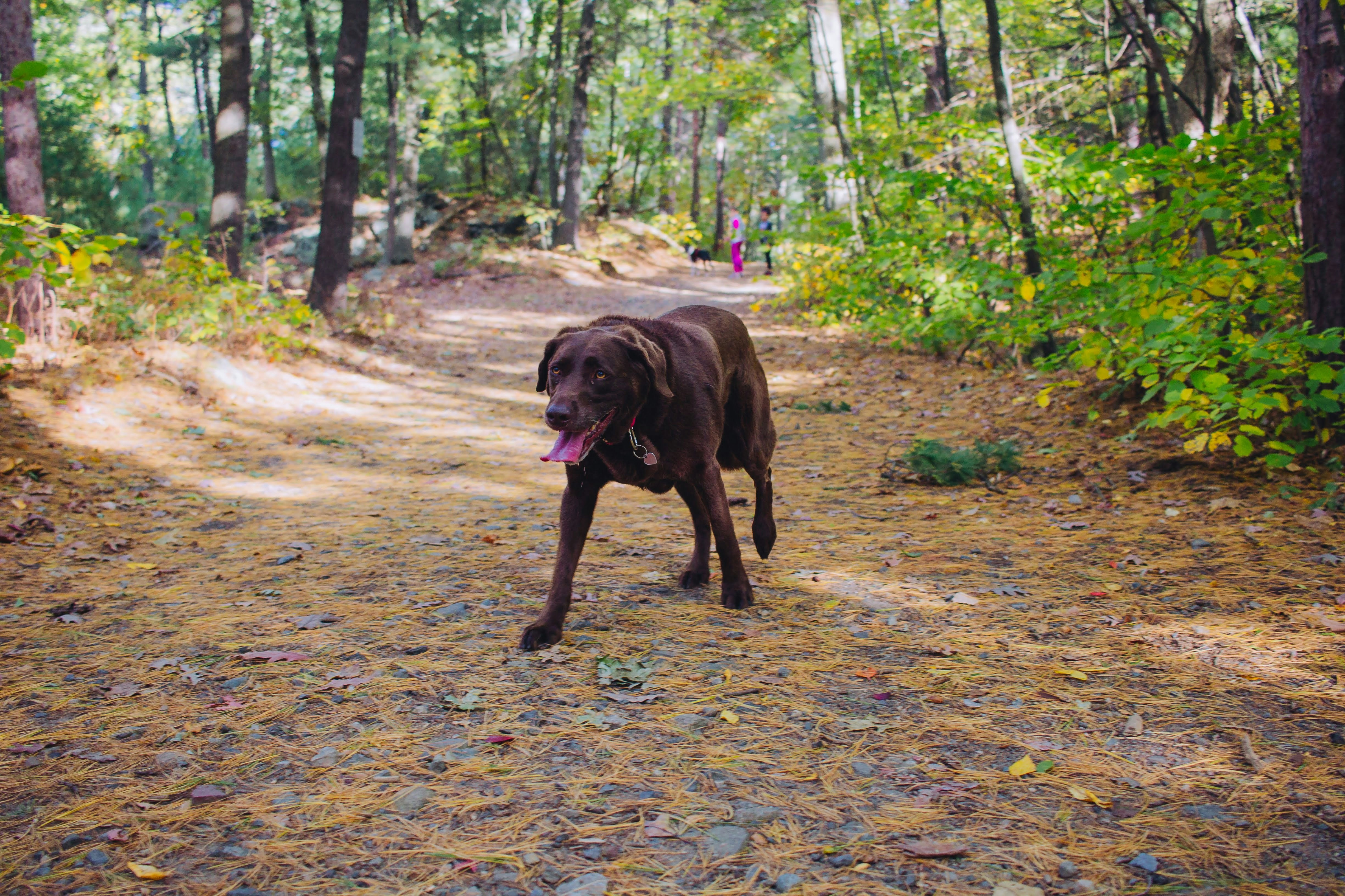 Photo by bonniekdesign