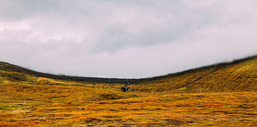 Tundra photo spot Dvergasteinsfjall Westfjords Region