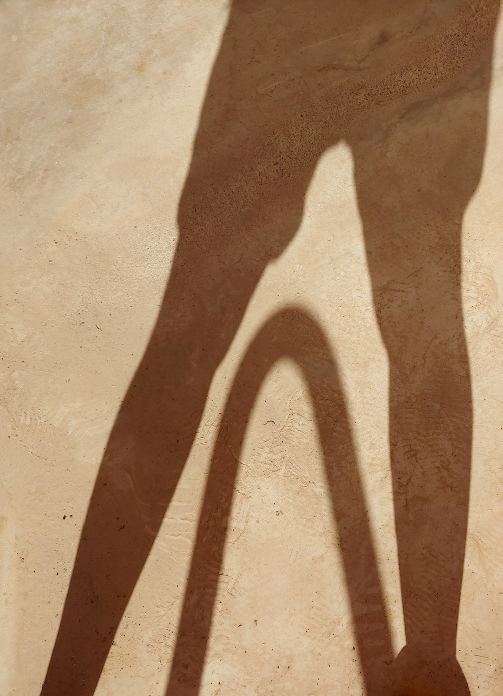 person's shadow reflecting on brown surface