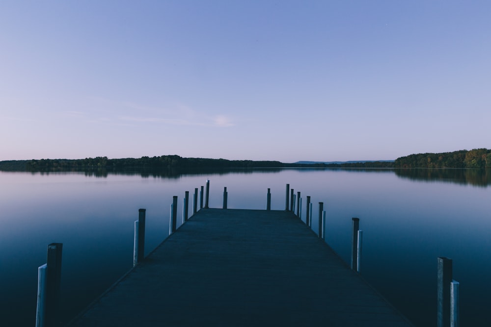 blue dock bay