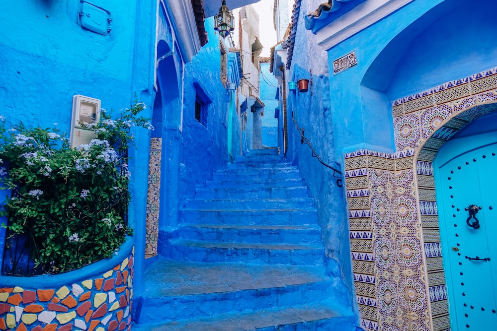 blue concrete house