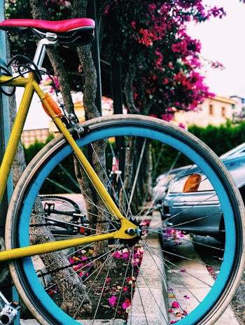 A colorful children's bike parked on a sunny street.