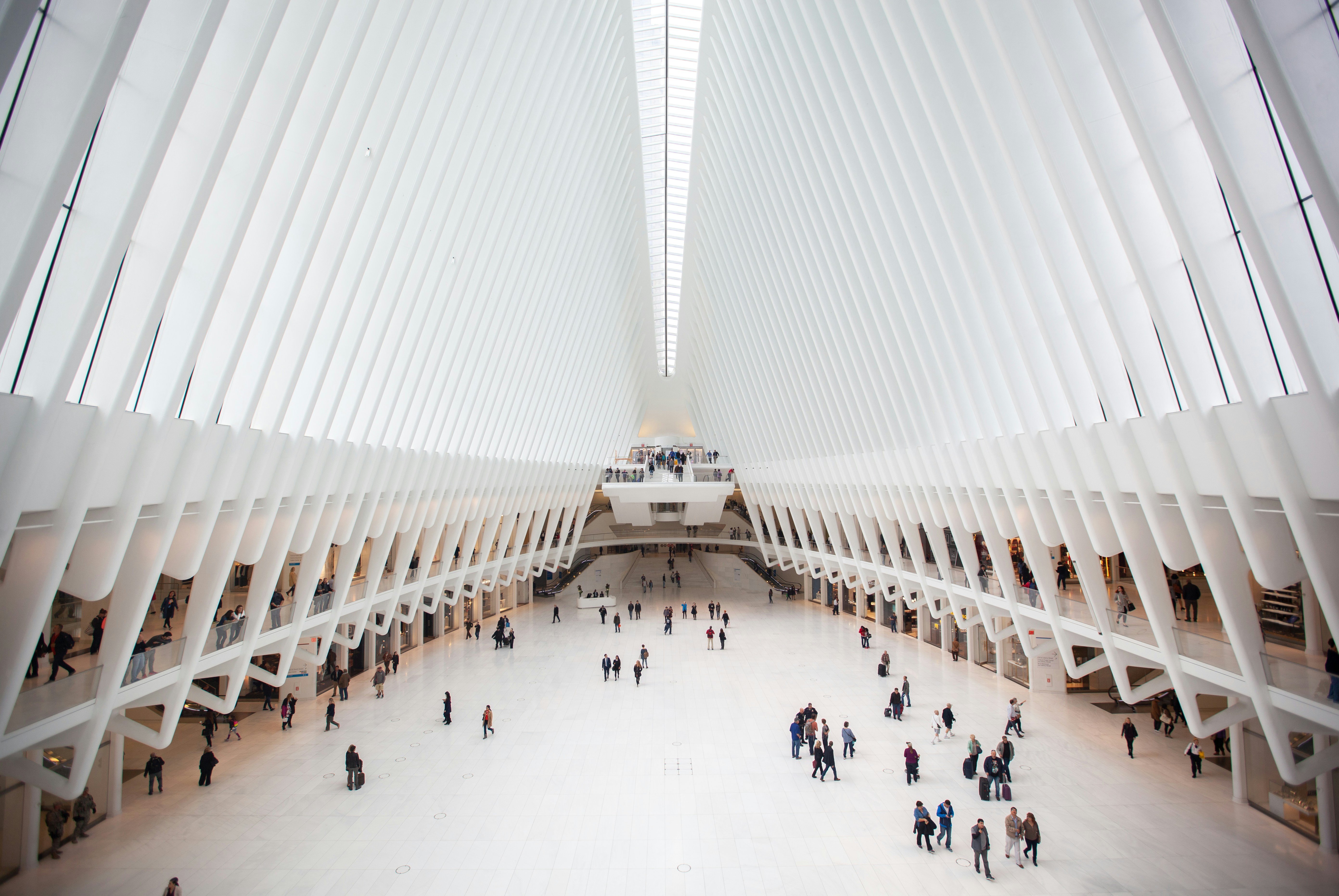 The Oculus